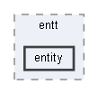 src/entt/entity